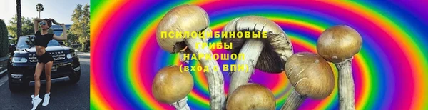 дживик Зеленокумск