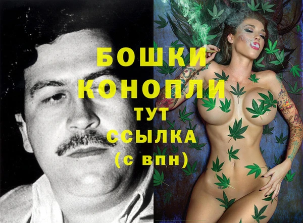 крисы Зерноград