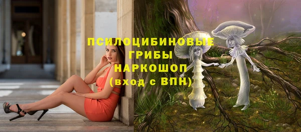 крисы Зерноград