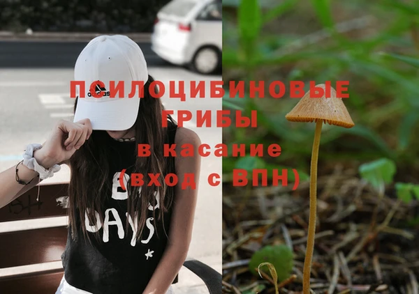 дживик Зеленокумск